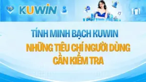 Tính Minh Bạch KUWIN – Những Tiêu Chí Người Dùng Cần Kiểm Tra